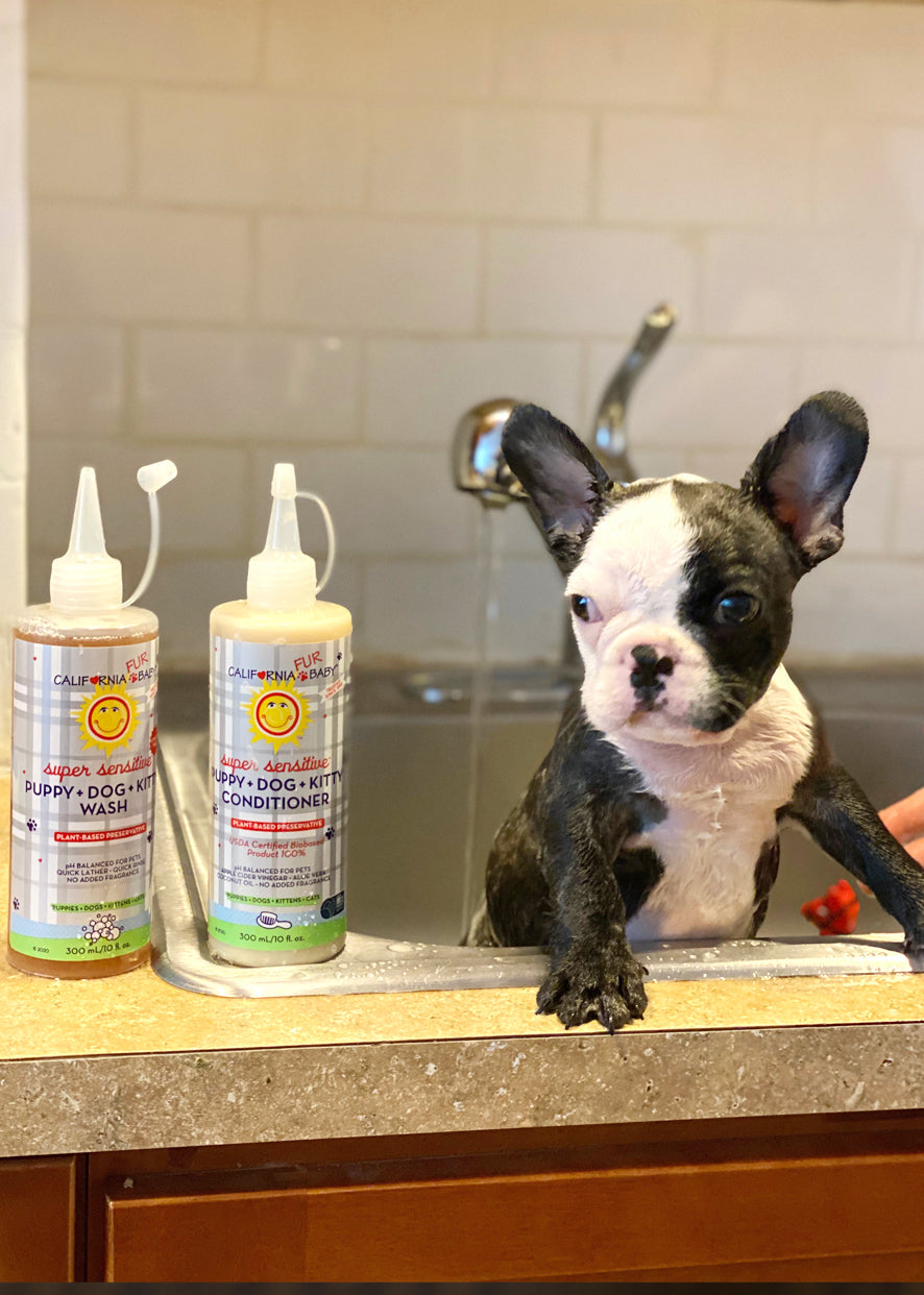 (No Fragrance) Super Sensitive™ Puppy + Dog + Kitty Wash